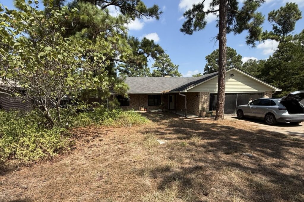 Mature loblolly pines dropping needles over a front yard in Bastrop, TX