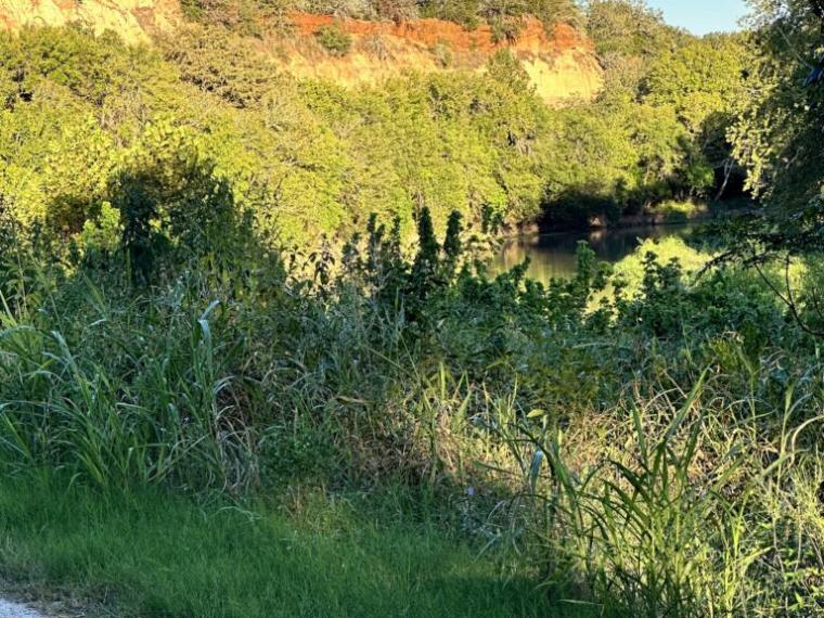 Creek below a limestone bluff surrounded by dense green growth in Bastrop County