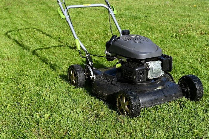 Lawn Care & Mowing