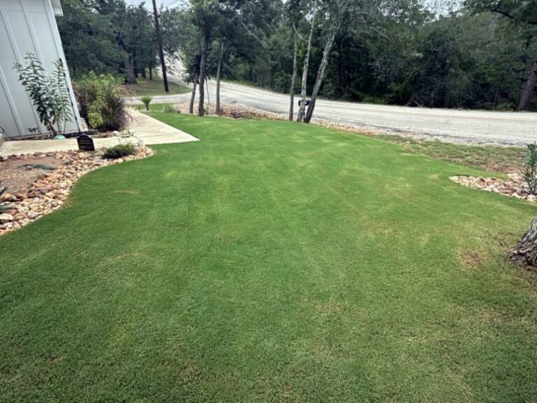 Wide mowed lawn edged with stone borders along a wooded Bastrop street